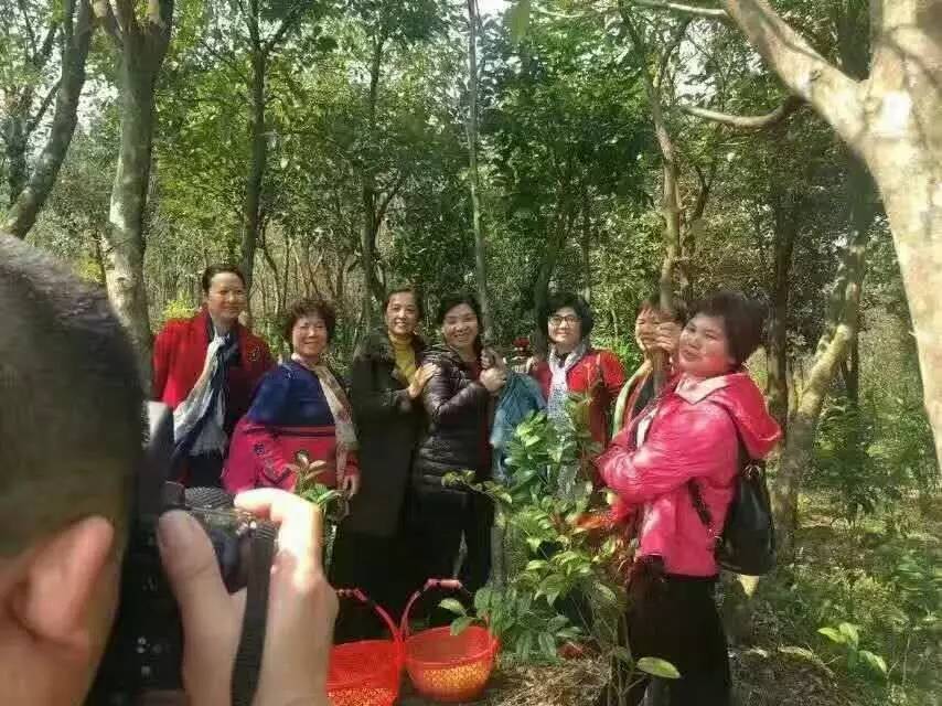 金花节开幕式,以花为媒非遗绽放花博会
