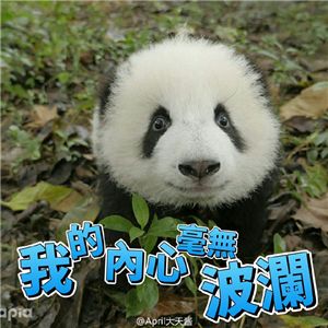 中国十大最火的外国网红,抖音百万网红姐弟抱大腿