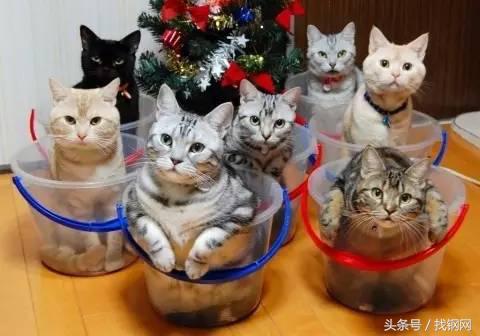 钢材销售员的一天，简直太形象了！笑喷……