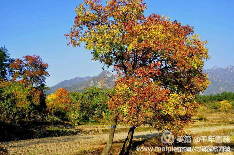 永远的余子店——文/刘宏冰
