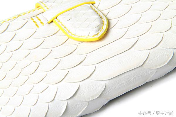 无与伦比皮肤,世界上最贵的蛇皮是什么蛇皮