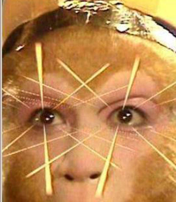 孙悟空双眼,孙悟空一开始的眼睛叫什么