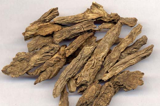 药食同源十大经方,药食同源补肾益气