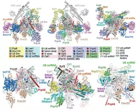 2021年国家重大科技成果,2020中国重大科技成果图片