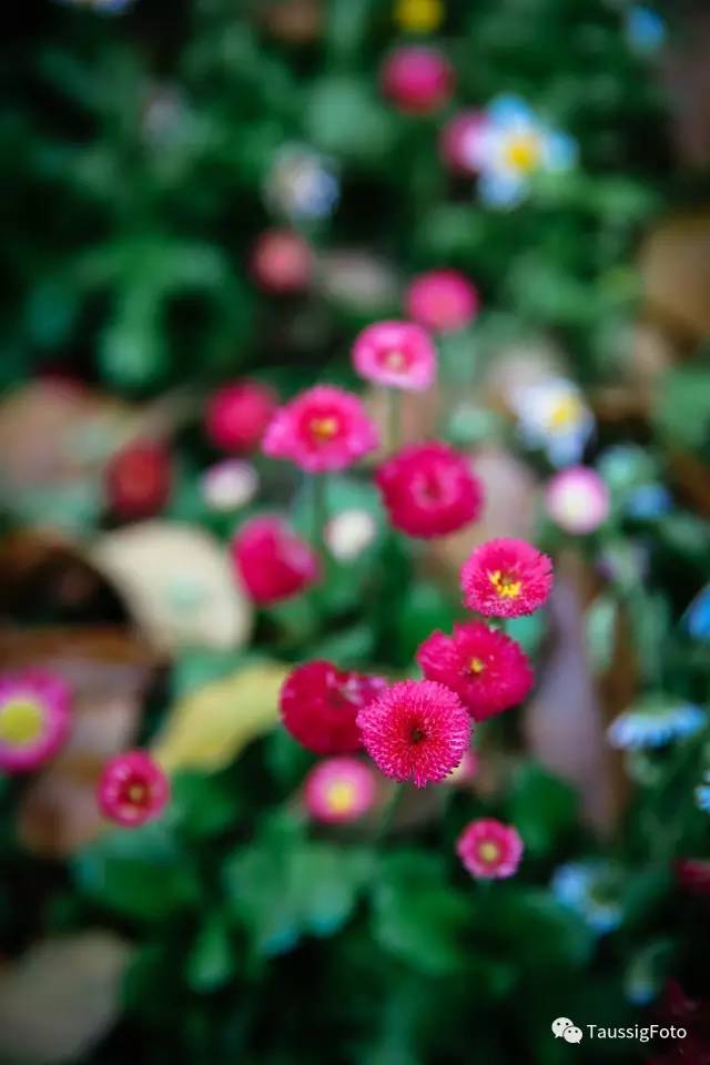 日本大阪旅游地震,日本旅游福岛地震