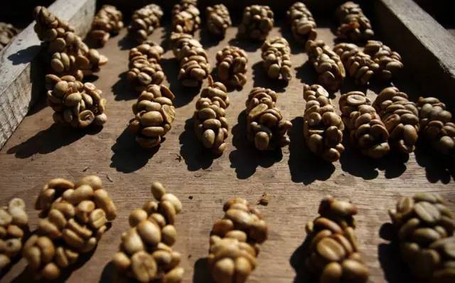 猫屎咖啡是世界上最好喝的咖啡吗,猫屎咖啡是顶级咖啡吗