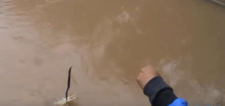 男子在河道钓龙虾,河里捕捉野虾视频