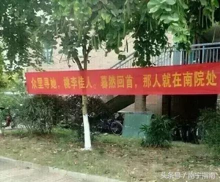 南宁学院排名多少位,南宁学院为什么能排民办第一