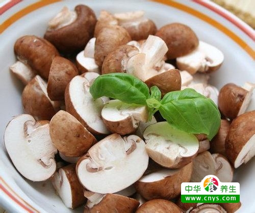 鎬庝箞鍚冩洿缇庣櫧閫忎寒,鎬庝箞鍚冩墠鑳借秺鏉ヨ秺鐧藉憿