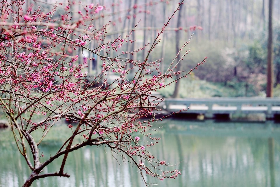 超实用杭州旅行全攻略,杭州攻略推荐