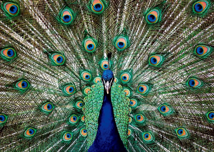 西双版纳3小时可以去哪,西双版纳五小时