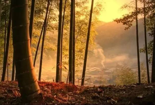 重庆最富有的8个区县 (重庆最发达的10个区县)