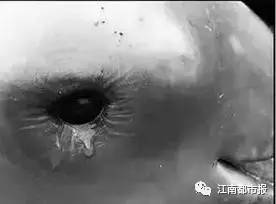 疼！一个铁钩，钩住的是全人类的的心