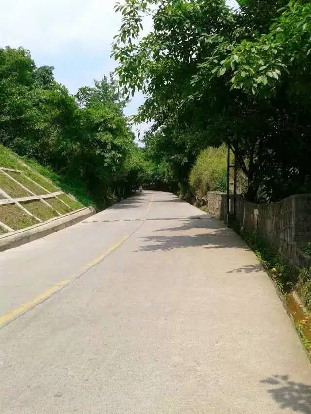 宜宾柏溪城中央健身房私教价格,宜宾最高端的健身房