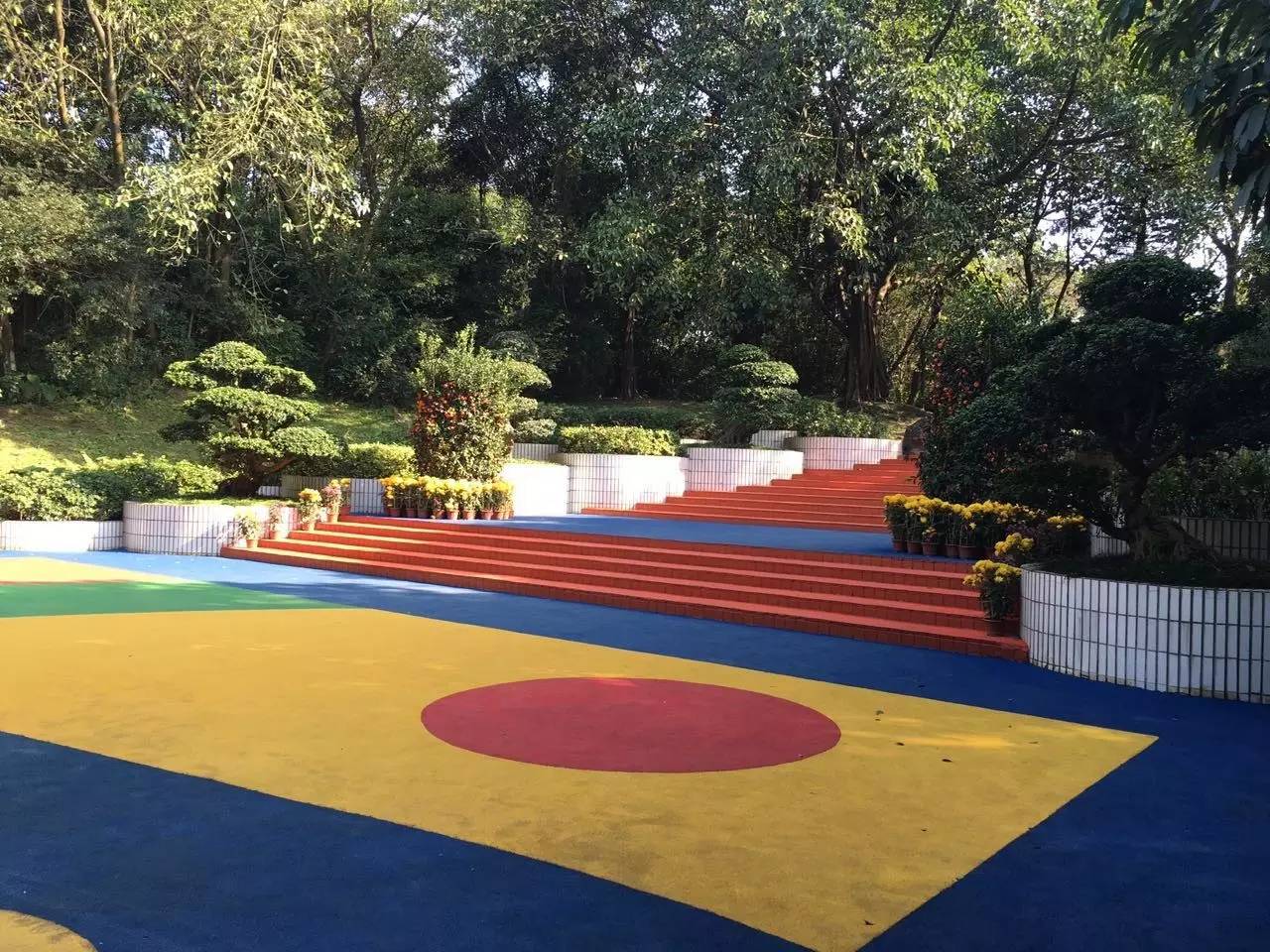 中山动物园有熊猫吗,中山公园动物园春节开放了吗