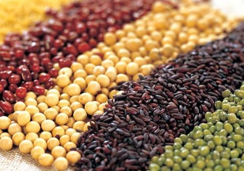 孕妇安胎食物排行榜,早期孕妇食谱推荐