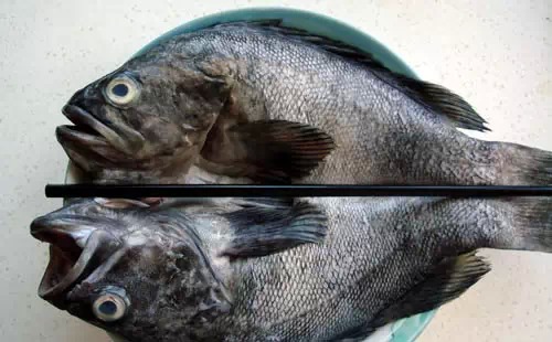 威海一月份当季海鲜,威海冬天海鲜种类