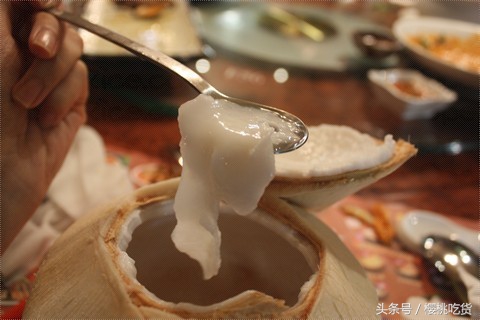 椰青和老椰子的区别,青椰和老椰子区别