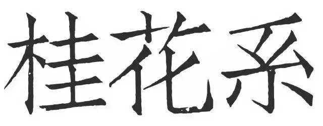 春天在这里｜气味研究所