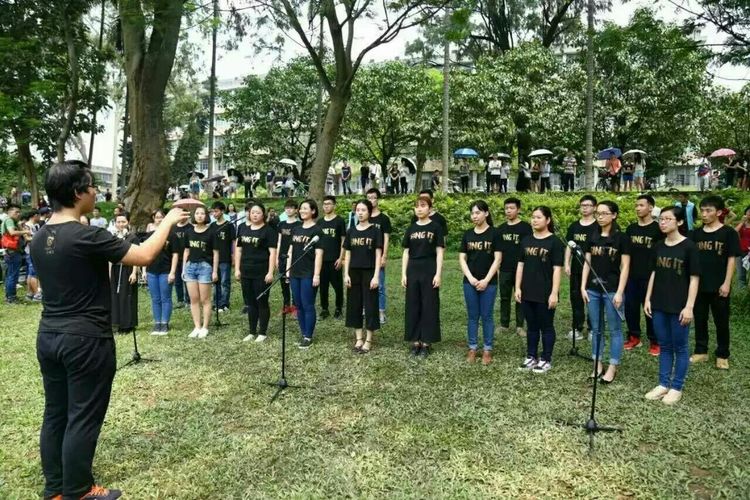田野音乐会空降清逸园,花海与音乐,约不约?