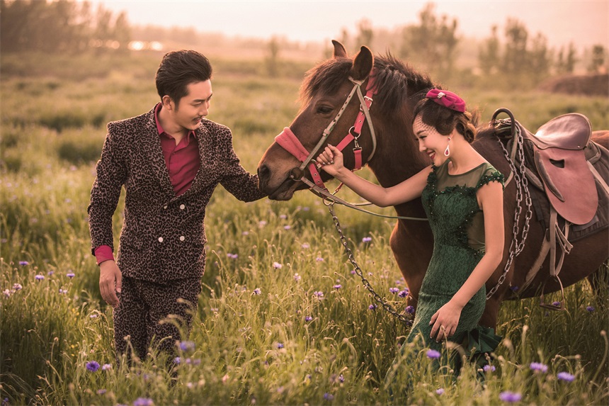 薰衣草的浪漫花语和寓意,薰衣草花语和寓意是什么