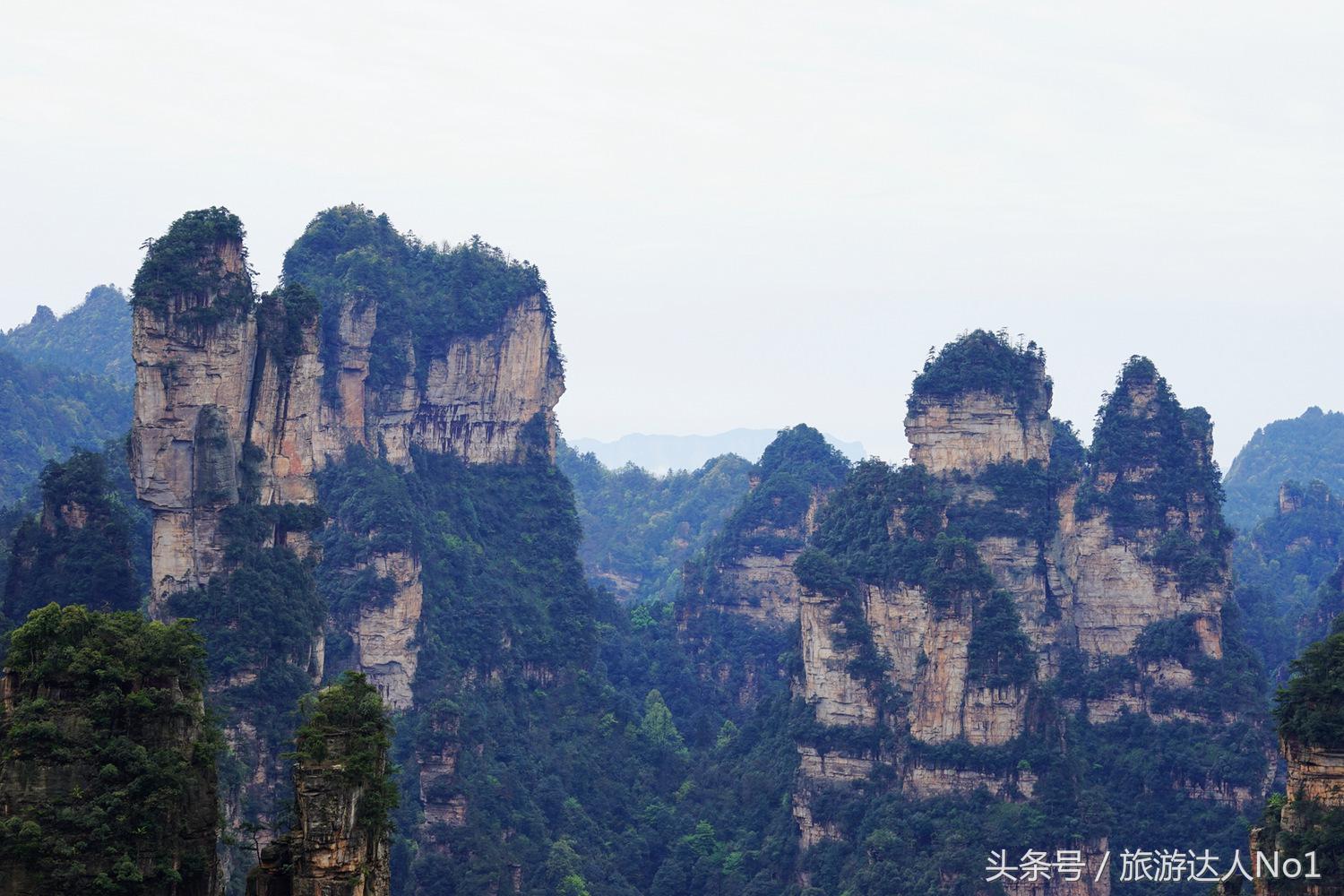 游记张家界8天旅游详细攻略,张家界天门山森林公园美景游记