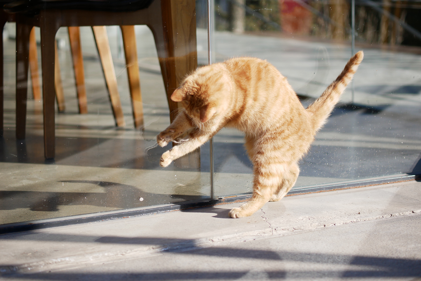 M4/3微单系统中,最适合摄影旅行的三款便携相机