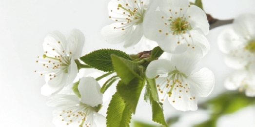 怀男孩女孩酸碱性的区别,生男孩女孩跟水质有关吗