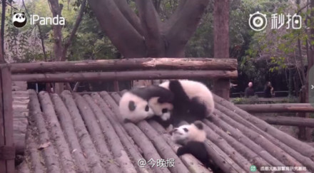 抱大腿暴富后续,抱大腿走上人生巅峰