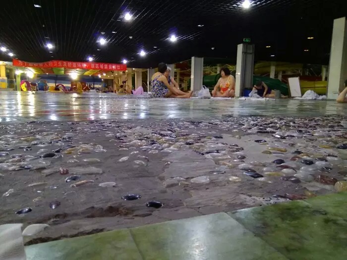 郁金香摩锐水世界还营业吗,郁金香摩锐水世界北京