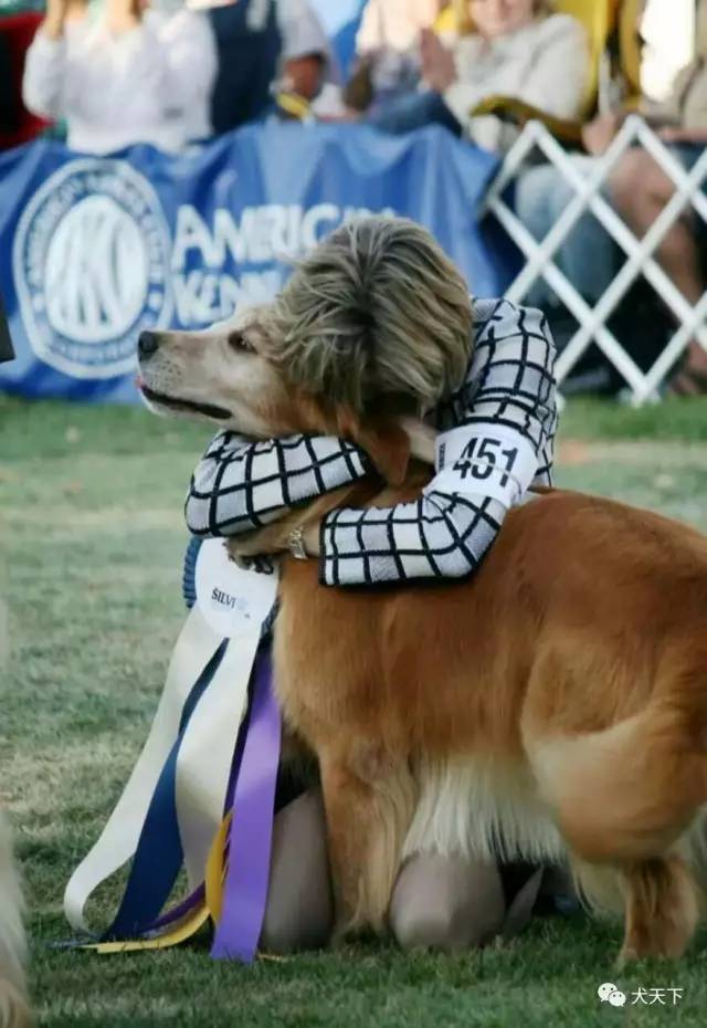 殿堂人物:采访美国金毛领军人物—TonyaStruble