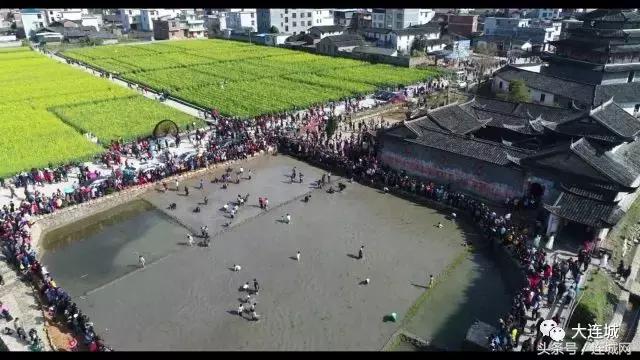 二月二龙抬头福建人,福建连城二月二龙抬头