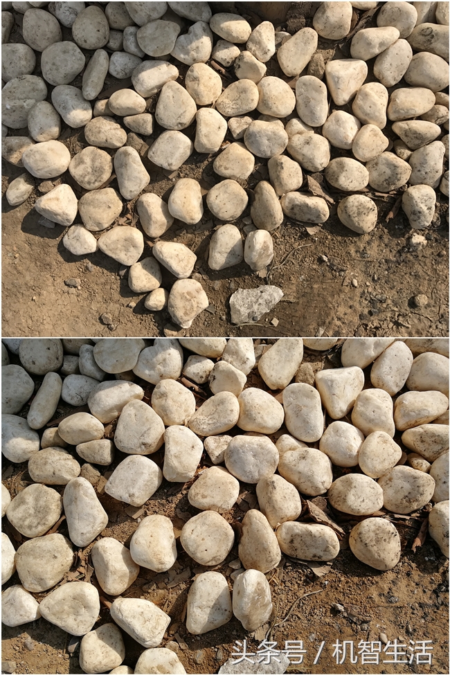 荣耀v9对比nova2s,荣耀v9升级鸿蒙系统后评测