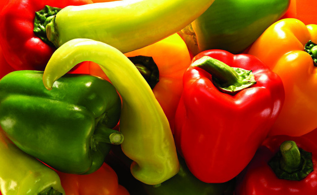 湿气改善指南,春季房间湿气太重怎么除湿