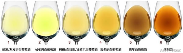 一直被全世界冤枉的白葡萄酒,等你来评理