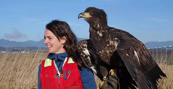 桌边社20170301：乐天，乐不起来了