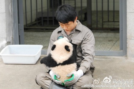 抱大腿暴富后续,抱大腿走上人生巅峰