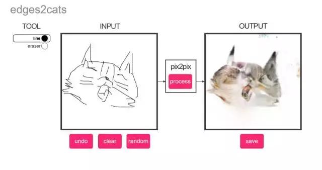 年轻人,想不想亲自去拍个猫片呀!