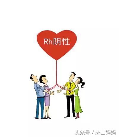 熊猫血生娃的成功率高吗,熊猫血如何生二胎