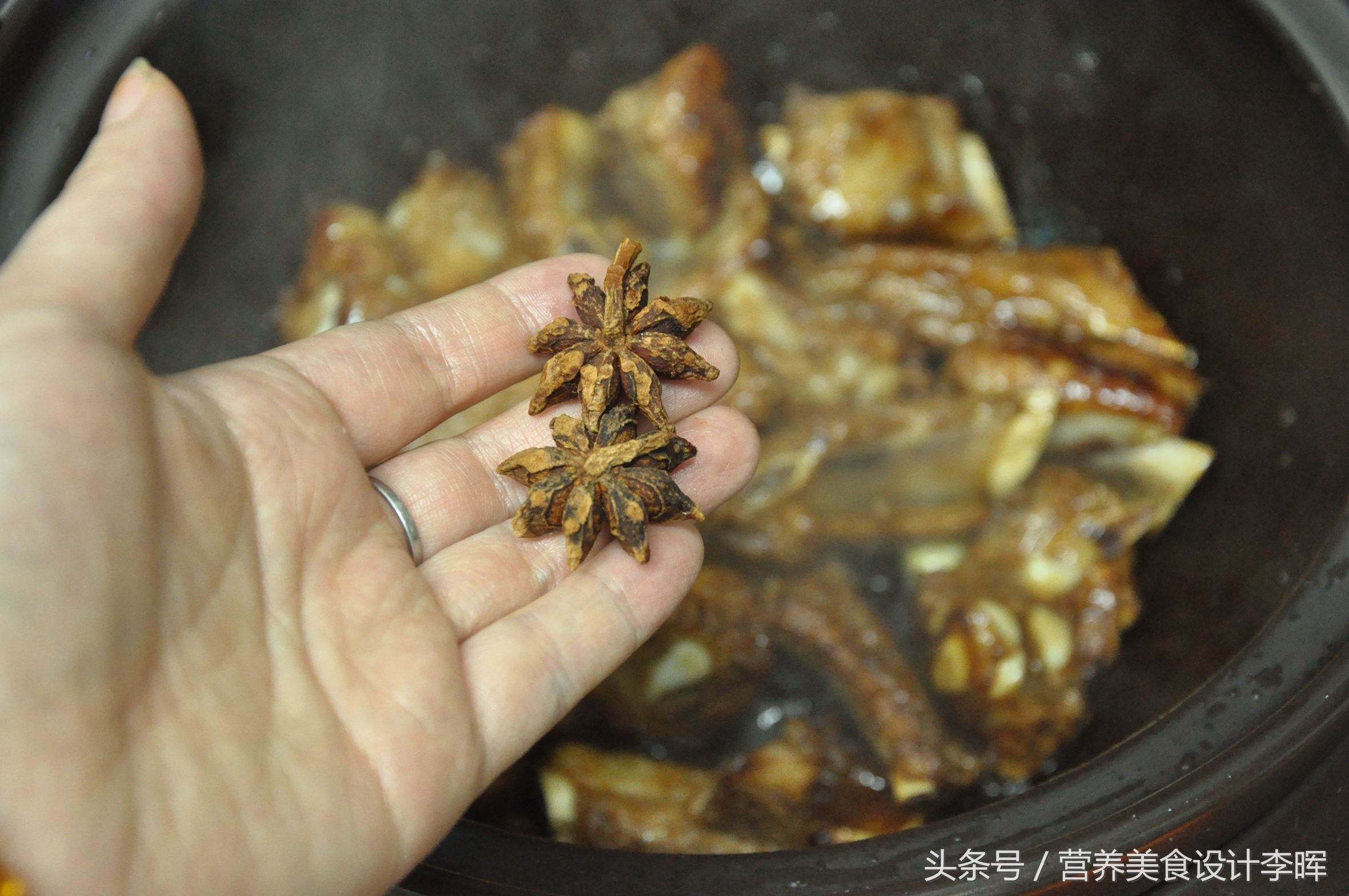 苏泊尔电炖砂锅食谱大全,苏泊尔砂锅菜谱