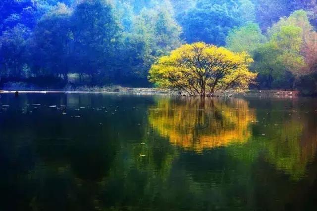 九江哪个区发展比较好,九江未来哪个县或区比较吃香