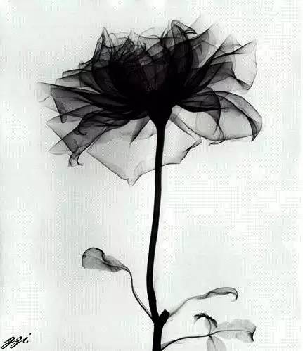 作为女人必须知道的八个方法,作为女人应懂什么