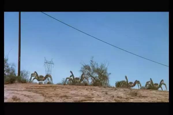 这是你们要的大长腿，备好纸巾，准备上下其手吧