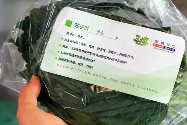 户县新西兰农场好玩吗,西安户县农场