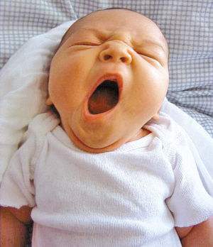 此两味经典成方：防治近视，眼疲劳，头痛心烦与失眠确有奇效