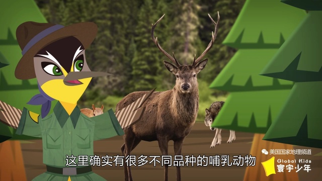 《寰宇少年》｜蒙大拿州很厉害，出了名的闹鬼呀！