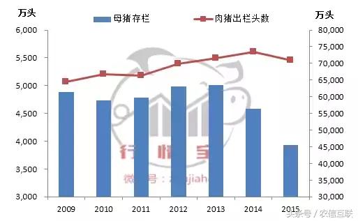 市场目前猪价,进口猪肉受限猪价会涨吗