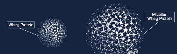 蛋粉的使用领域,蛋小粉的正确使用方法