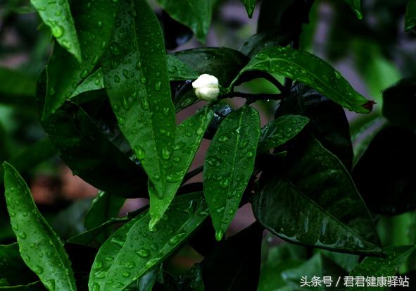 冷水洗头对身体有什么伤害？