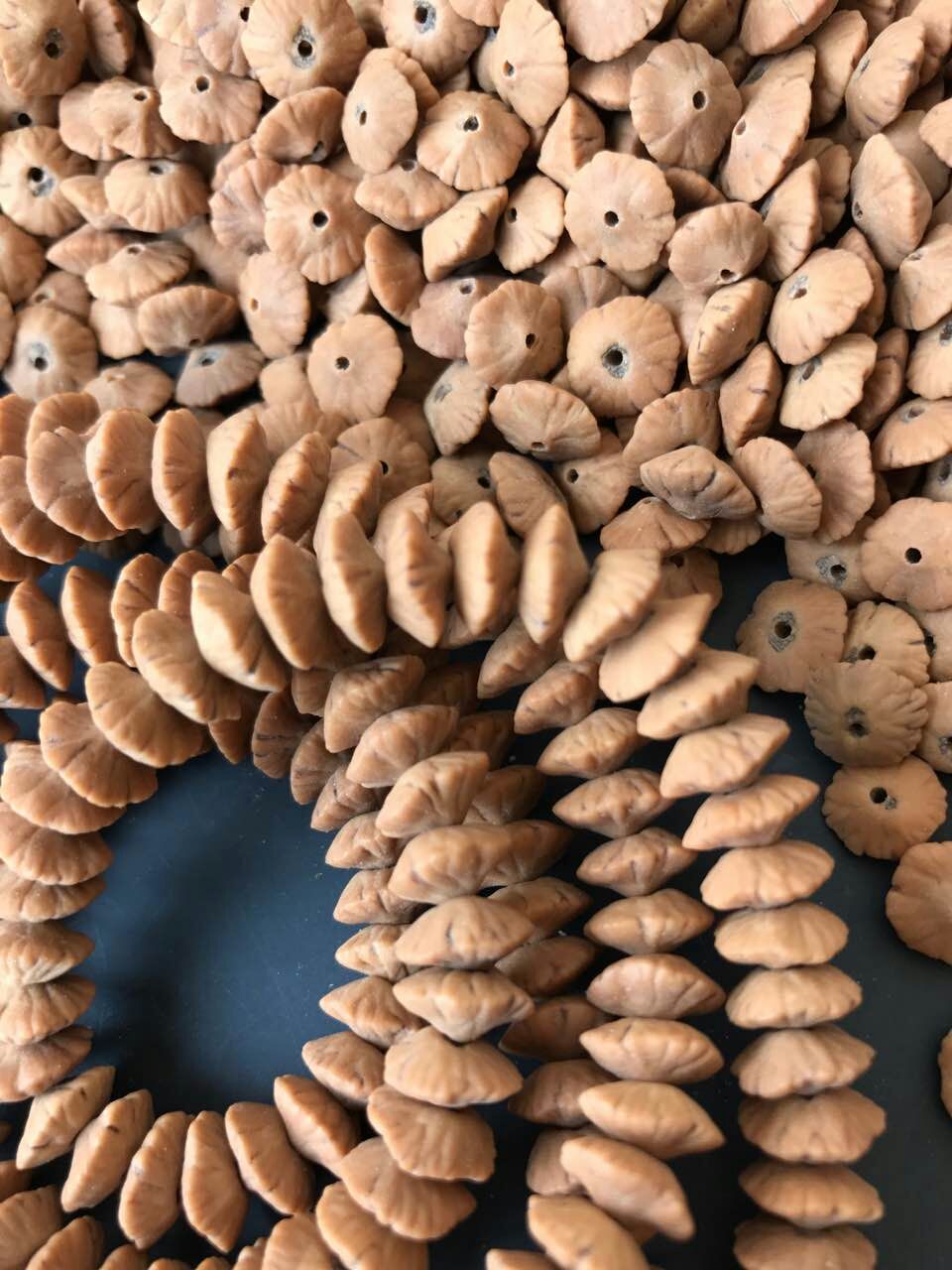 文玩菩提子的品种与分类,文玩菩提子怎么盘红得快